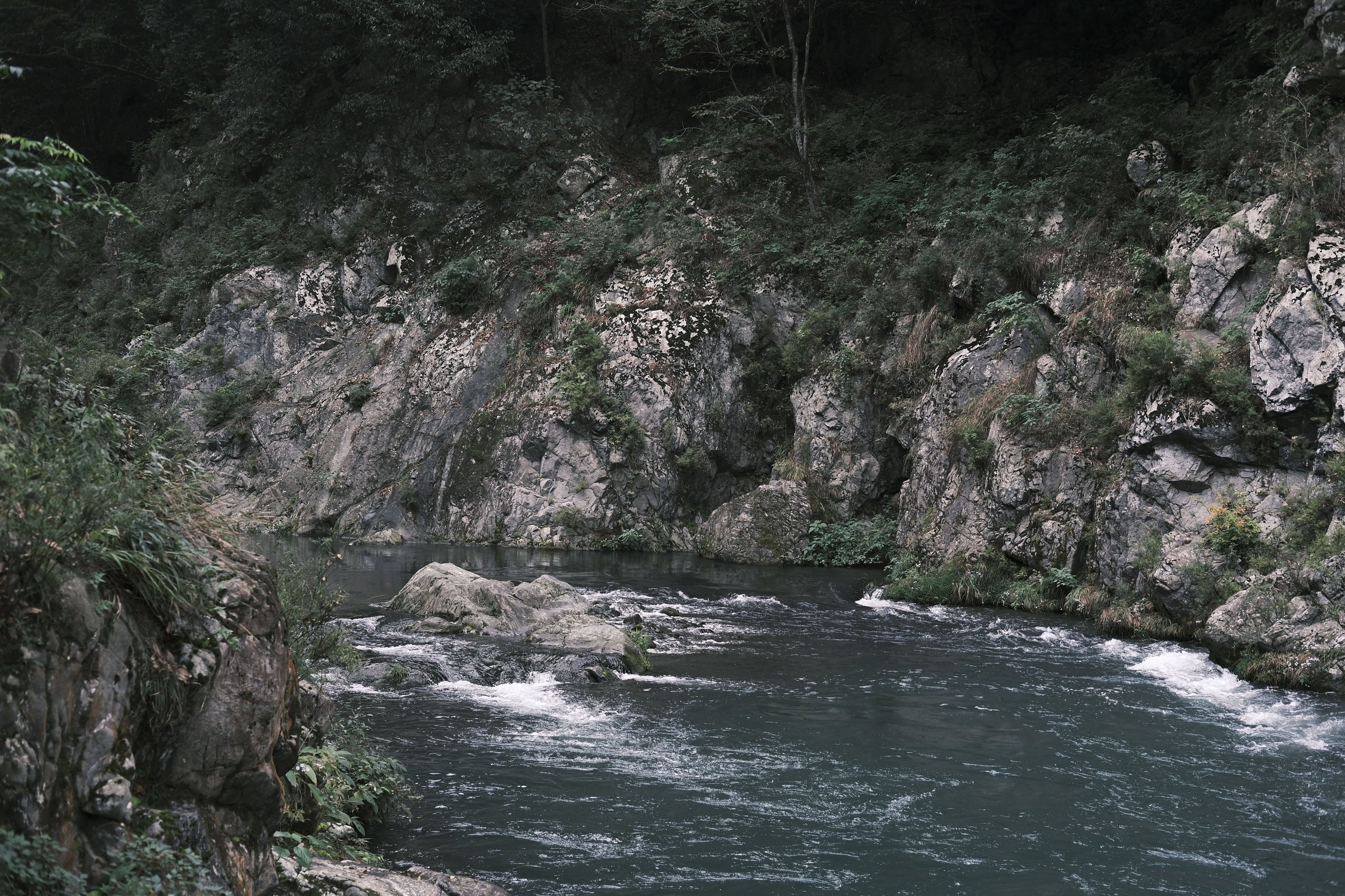 奧多摩峽谷,岩壁與溪流白水